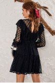 Daria Transparent Black Skater Dress